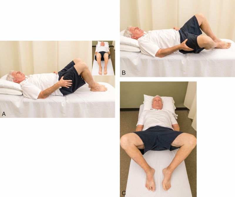 Adductoren - Afbeelding 14