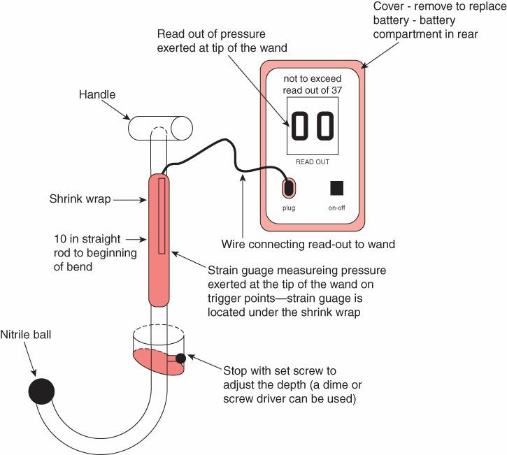 Bekkenbodemspieren - Afbeelding 6