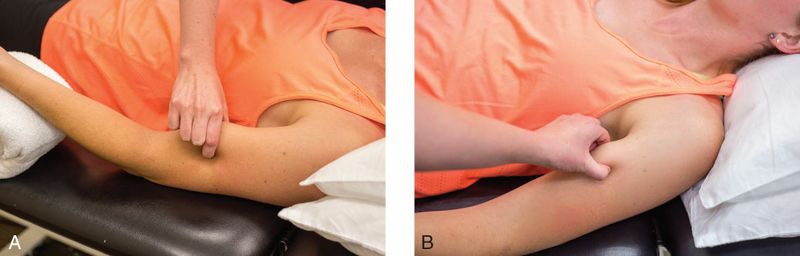 Biceps Brachii - Afbeelding 4
