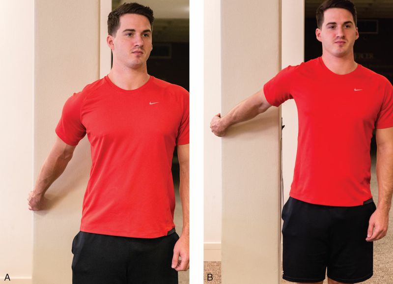 Biceps Brachii - Afbeelding 8