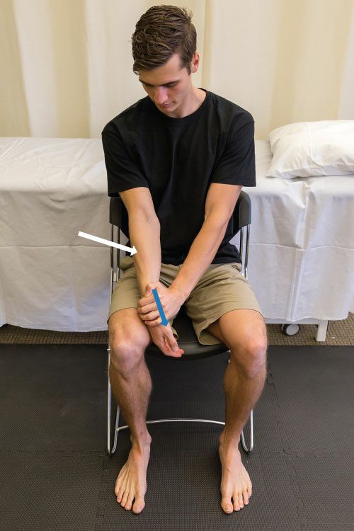 Brachioradialis - Afbeelding 10