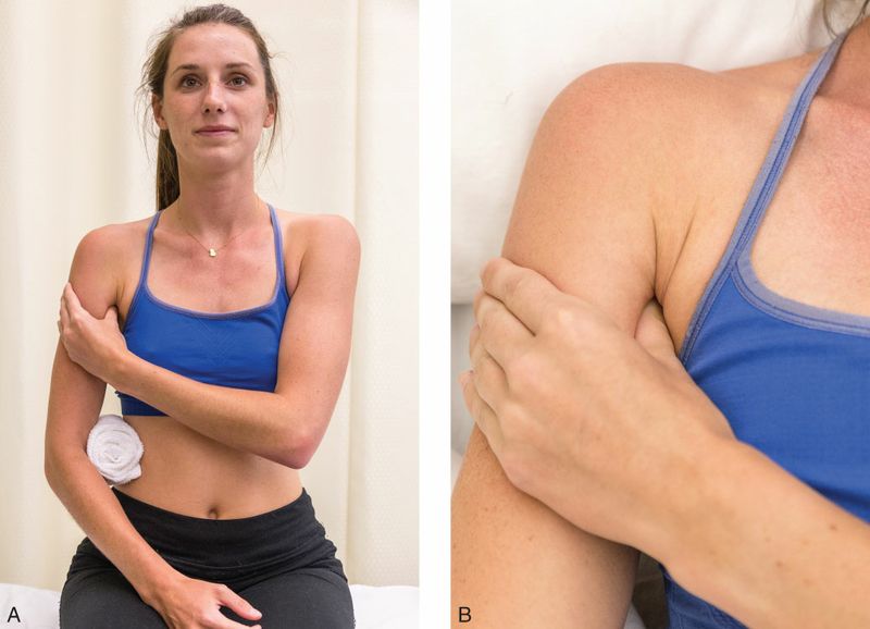 Coracobrachialis - Afbeelding 5