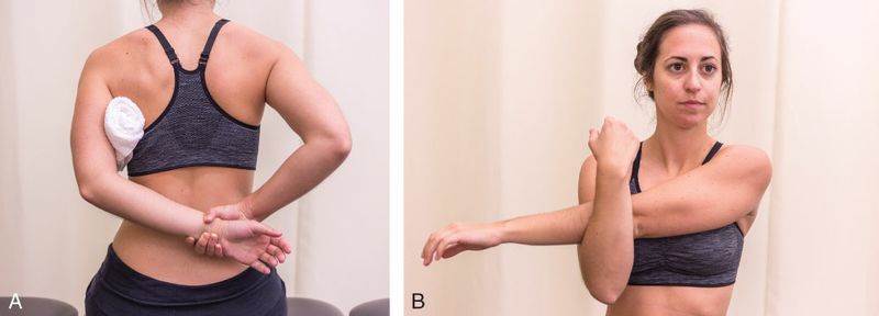 Deltoideus - Afbeelding 6