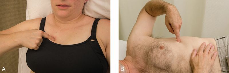 Diaphragma - Afbeelding 14