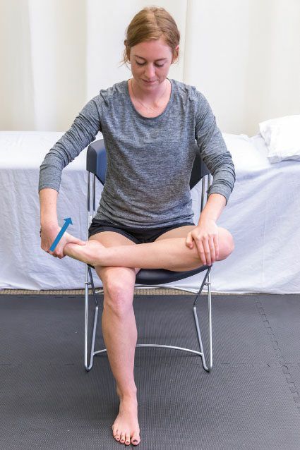 Fibularii - Afbeelding 8