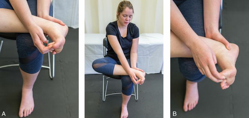 Flexor Digitorum Longus - Afbeelding 6