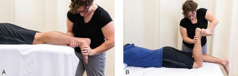 Gastrocnemius - Afbeelding 3