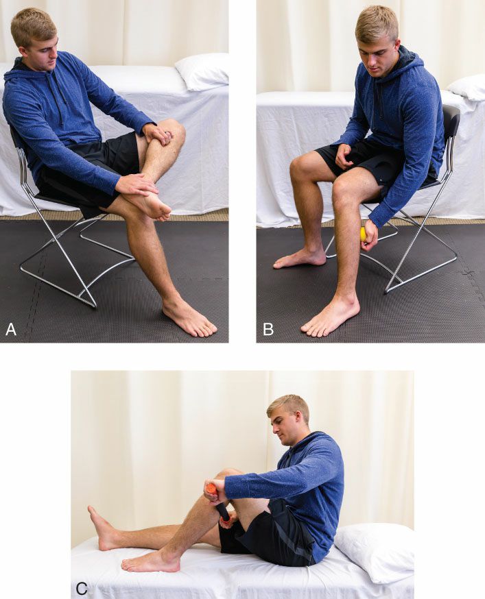 Gastrocnemius - Afbeelding 7