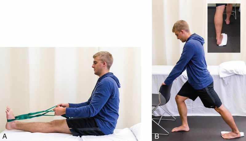 Gastrocnemius - Afbeelding 8