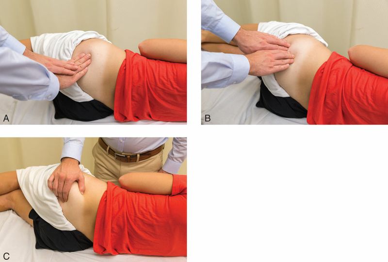 Gluteus Maximus - Afbeelding 11