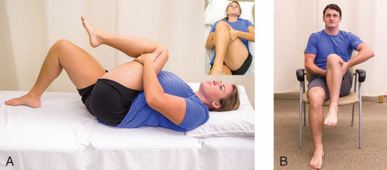 Gluteus Maximus - Afbeelding 13