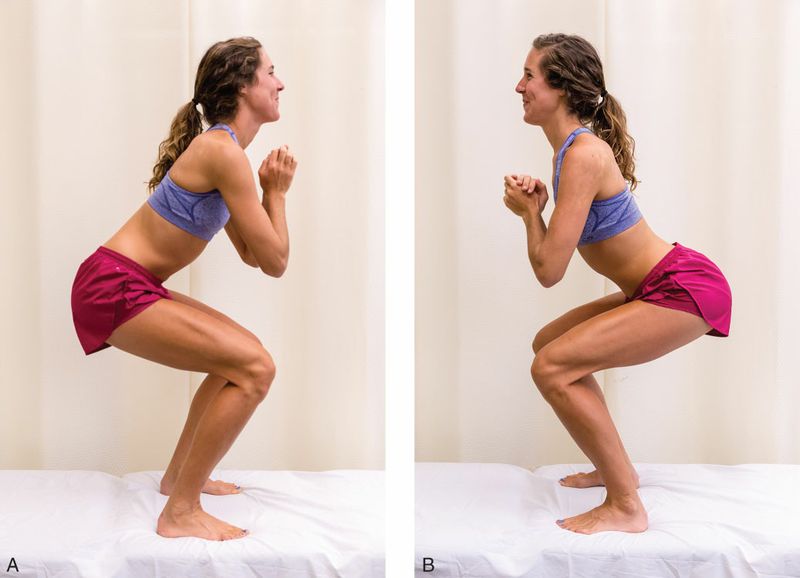 Gluteus Maximus - Afbeelding 3