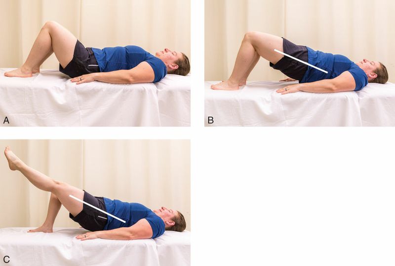 Gluteus Maximus - Afbeelding 8