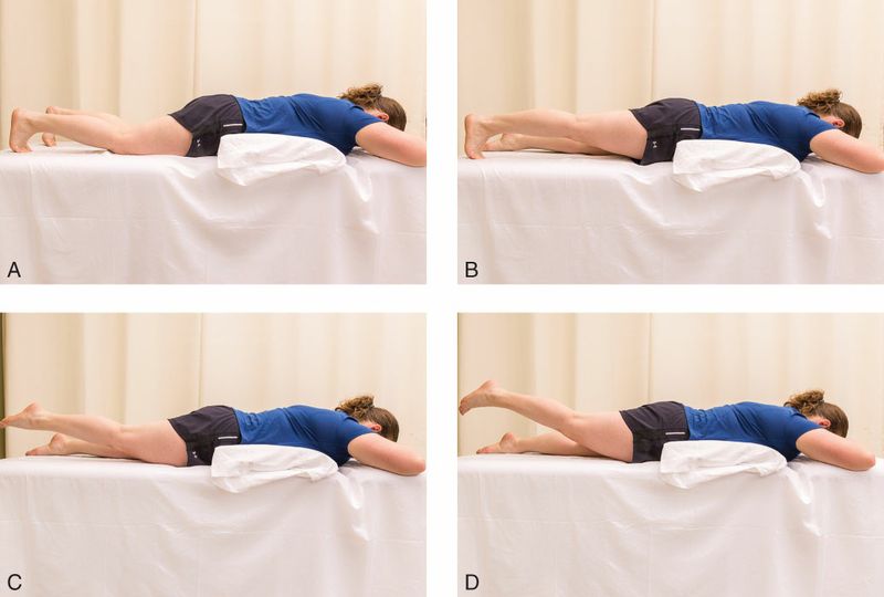 Gluteus Maximus - Afbeelding 9