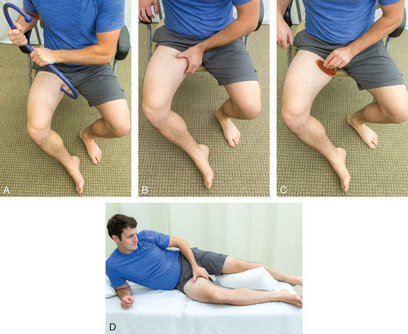 Gracilis - Afbeelding 13