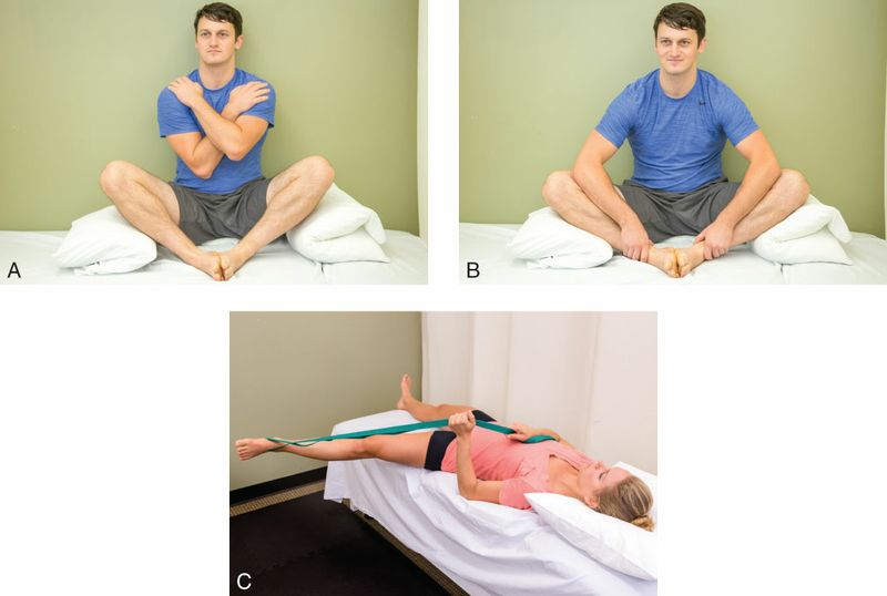 Gracilis - Afbeelding 15