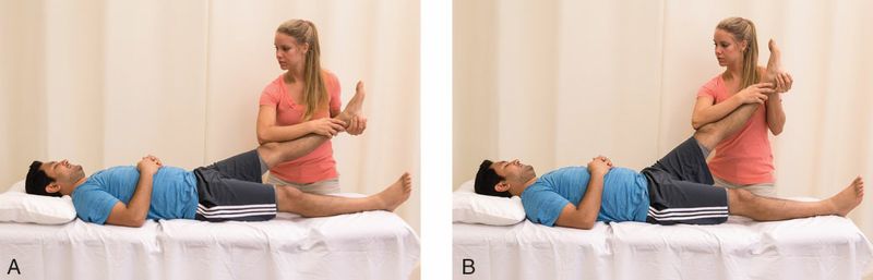 Hamstrings - Afbeelding 6