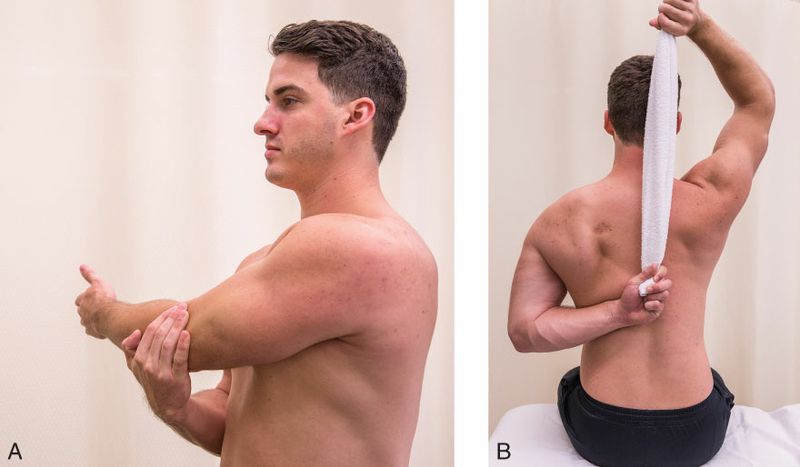 Infraspinatus - Afbeelding 5