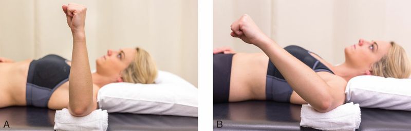 Infraspinatus - Afbeelding 6