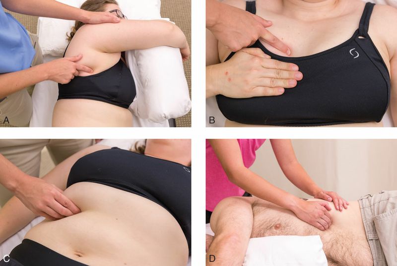 Intercostales - Afbeelding 10