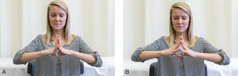 Interossei - Afbeelding 6
