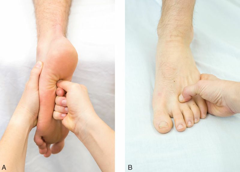 Intrinsieke Voetspieren - Afbeelding 11