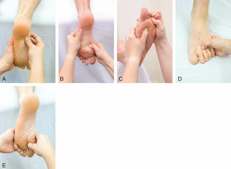 Intrinsieke Voetspieren - Afbeelding 12