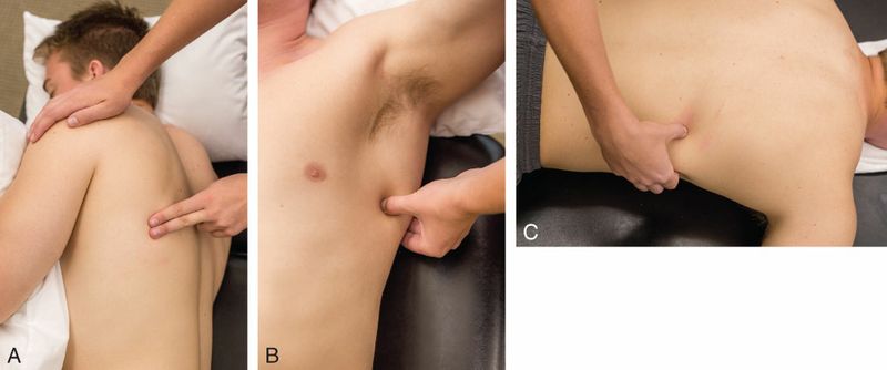 Latissimus Dorsi - Afbeelding 3