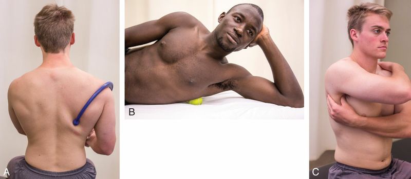 Latissimus Dorsi - Afbeelding 4