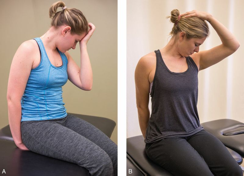 Levator Scapulae - Afbeelding 5