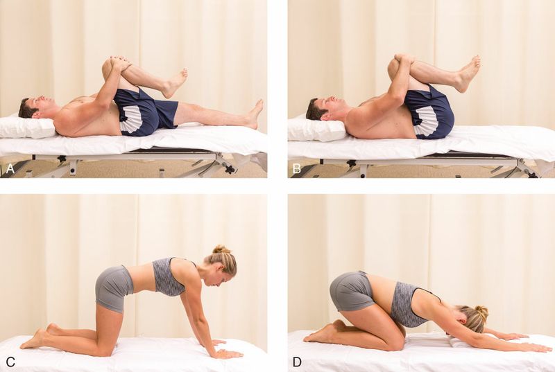 Paraspinale Spieren - Afbeelding 7