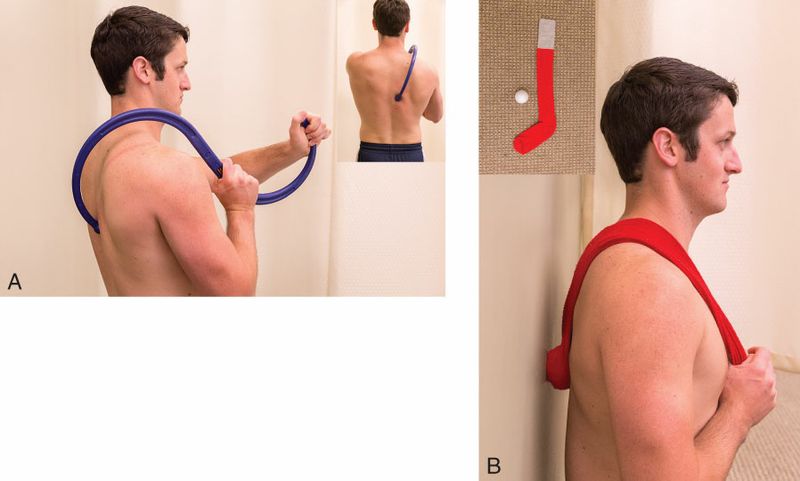 Paraspinale Spieren - Afbeelding 8