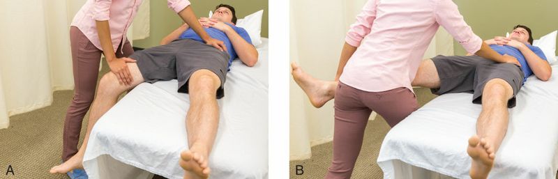 Pectineus - Afbeelding 11