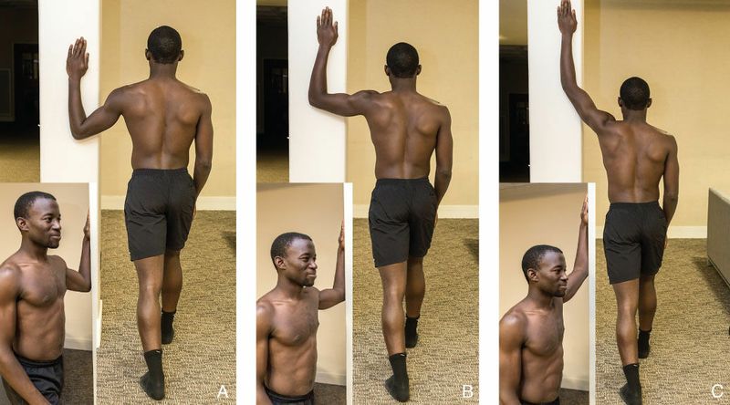 Pectoralis Major - Afbeelding 10