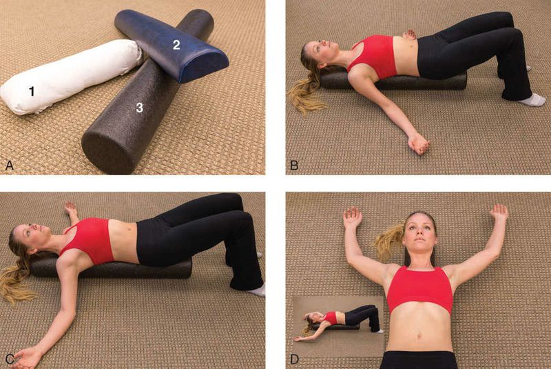 Pectoralis Major - Afbeelding 11