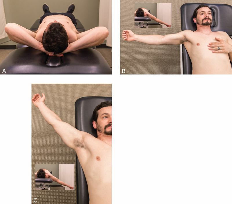 Pectoralis Major - Afbeelding 6