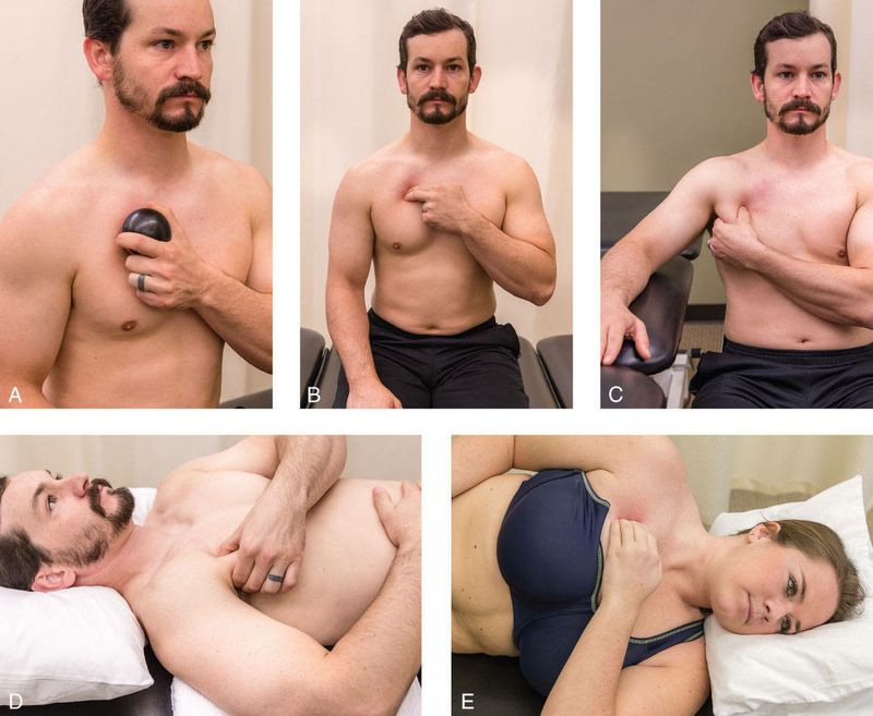 Pectoralis Major - Afbeelding 9