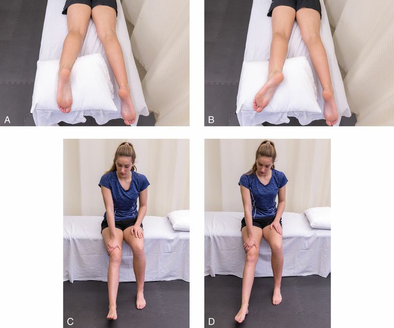 Popliteus - Afbeelding 7