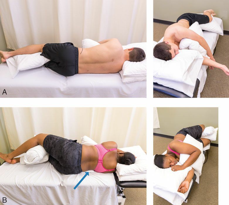 Quadratus Lumborum - Afbeelding 12