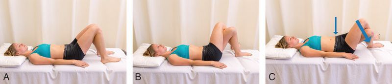 Quadratus Lumborum - Afbeelding 15