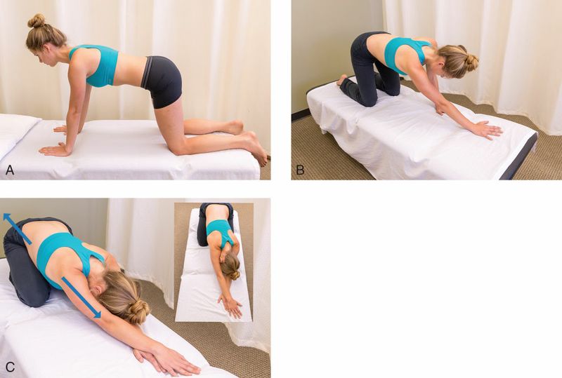 Quadratus Lumborum - Afbeelding 16