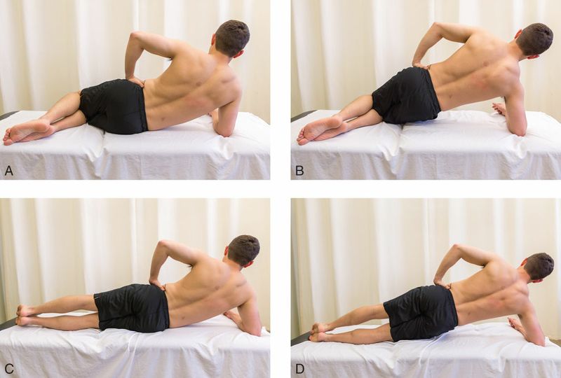 Quadratus Lumborum - Afbeelding 8