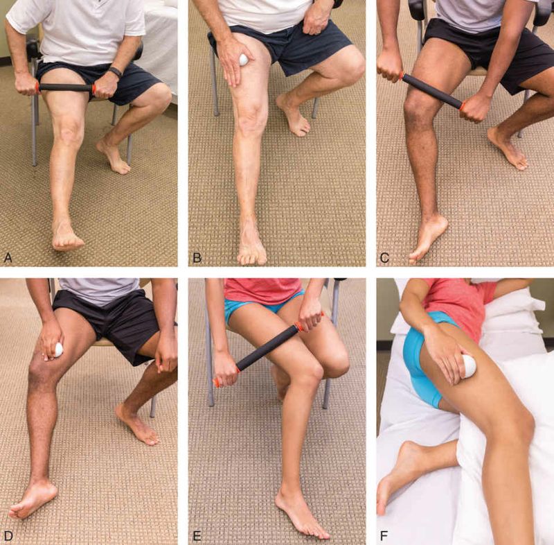 Quadriceps - Afbeelding 14