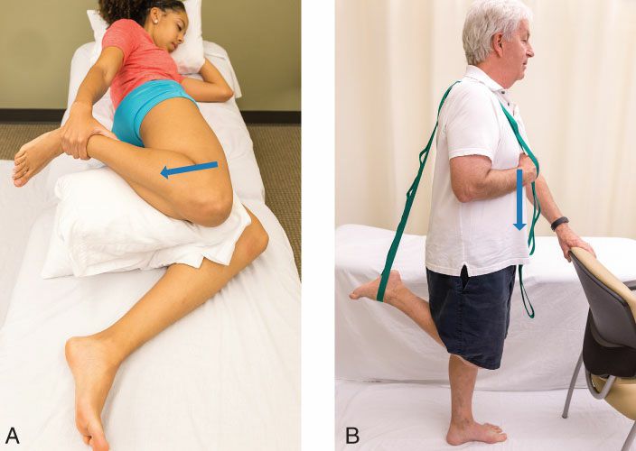 Quadriceps - Afbeelding 16