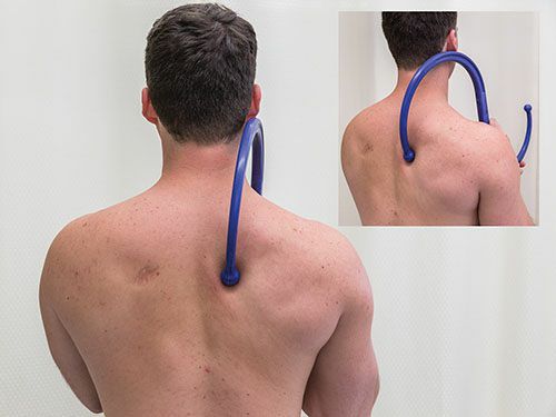 Rhomboidei - Afbeelding 6