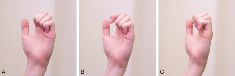 Scaleni - Afbeelding 6