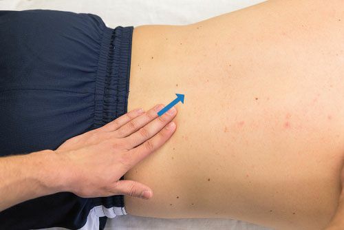 Serratus Posterior - Afbeelding 7