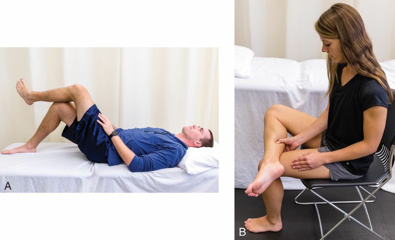 Soleus - Afbeelding 10