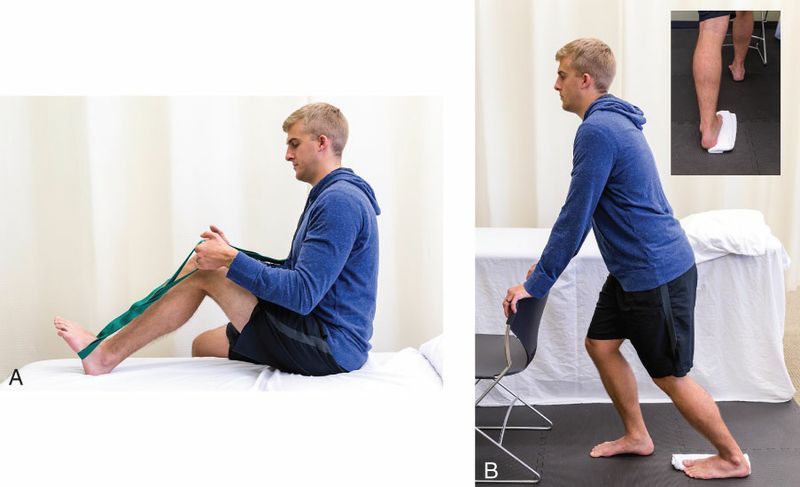 Soleus - Afbeelding 11