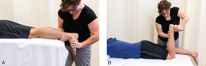 Soleus - Afbeelding 7